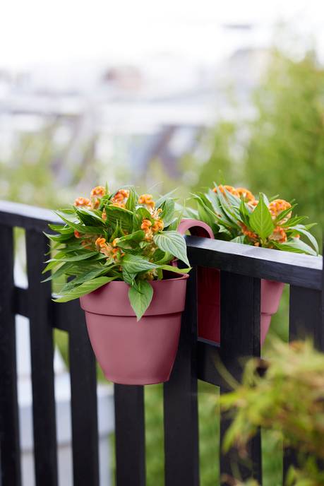 vibia campana flower twin 21cm puderrosa